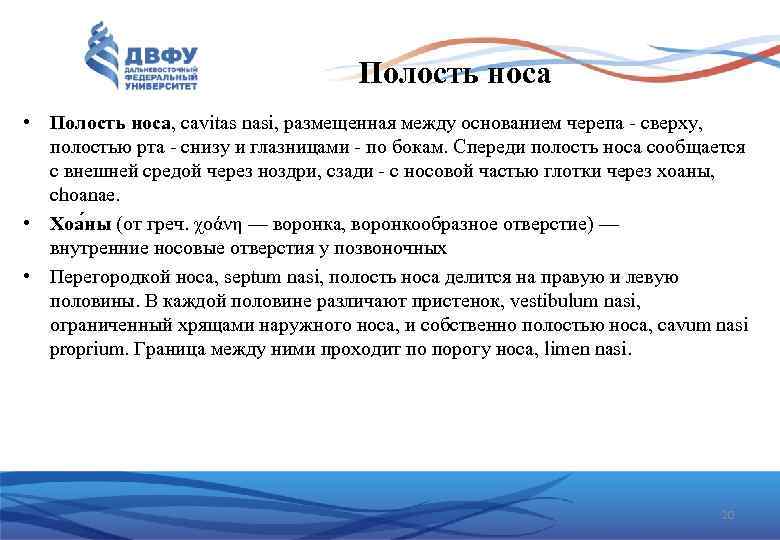 Полость носа • Полость носа, cavitas nasi, размещенная между основанием черепа - сверху, полостью