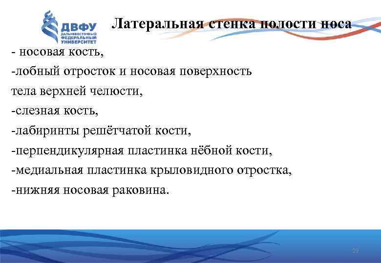 Латеральная стенка полости носа - носовая кость, -лобный отросток и носовая поверхность тела верхней