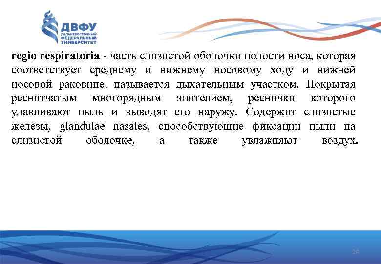 regio respiratoria - часть слизистой оболочки полости носа, которая соответствует среднему и нижнему носовому