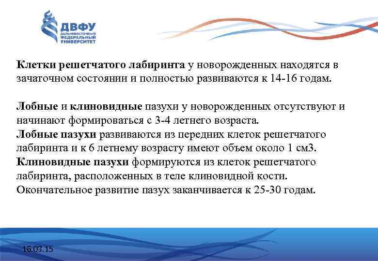 Клетки решетчатого лабиринта у новорожденных находятся в зачаточном состоянии и полностью развиваются к 14