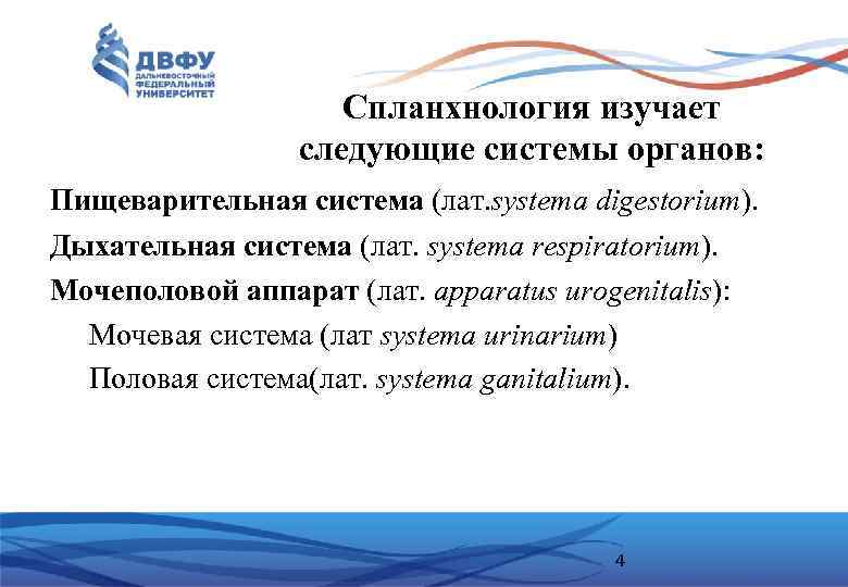 Спланхнология изучает следующие системы органов: Пищеварительная система (лат. systema digestorium). Дыхательная система (лат. systema