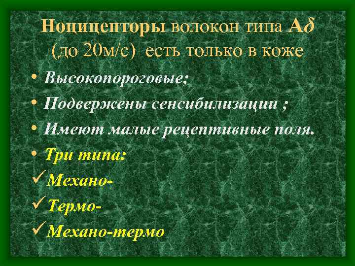 Ноцицепторы волокон типа Аδ (до 20 м/с) есть только в коже • Высокопороговые; •