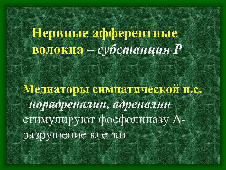 Нервные афферентные волокна – субстанция Р Медиаторы симпатической н. с. –норадреналин, адреналин стимулируют фосфолипазу