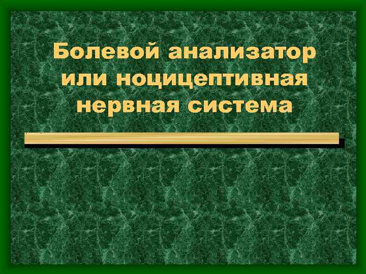 Болевой анализатор или ноцицептивная нервная система 