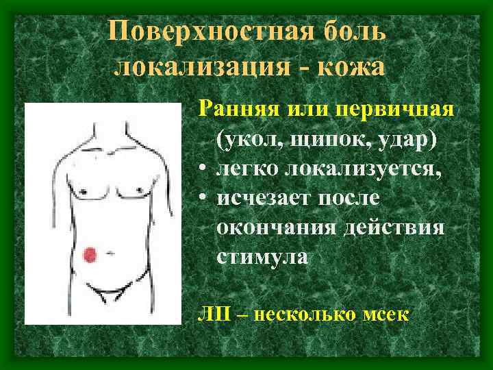 Поверхностная боль локализация - кожа Ранняя или первичная (укол, щипок, удар) • легко локализуется,