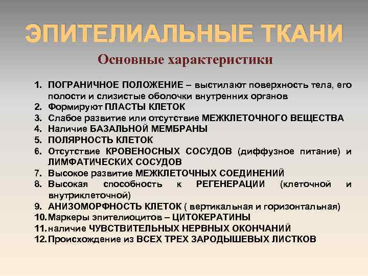 ЭПИТЕЛИАЛЬНЫЕ ТКАНИ Основные характеристики 1. ПОГРАНИЧНОЕ ПОЛОЖЕНИЕ – выстилают поверхность тела, его полости и