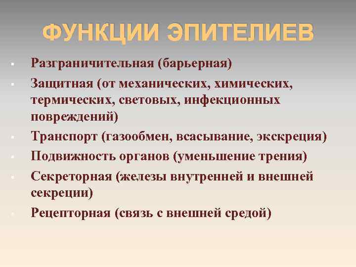 ФУНКЦИИ ЭПИТЕЛИЕВ § § § Разграничительная (барьерная) Защитная (от механических, химических, термических, световых, инфекционных