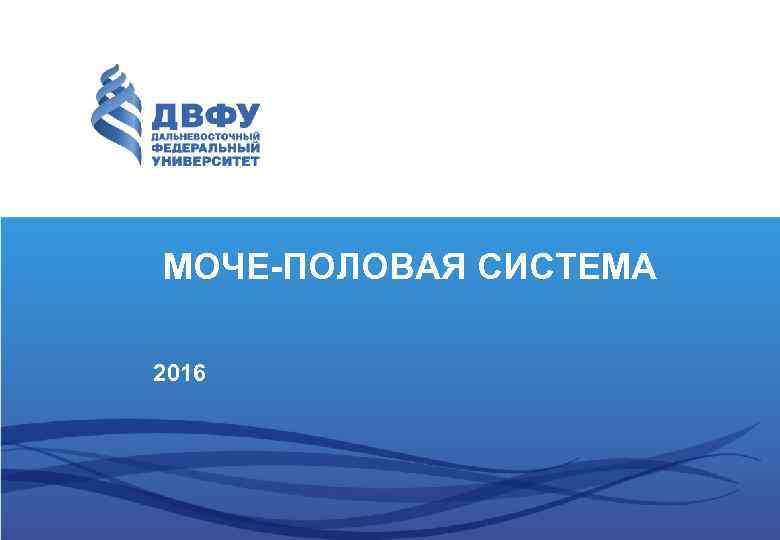 МОЧЕ-ПОЛОВАЯ СИСТЕМА 2016 