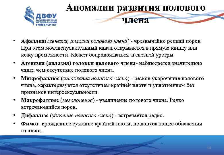 Аномалии развития полового члена • Афаллия(агенезия, аплазия полового члена) чрезвычайно редкий порок. При этом