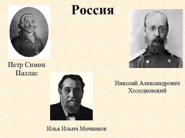 Россия Петр Симон Паллас Николай Александрович Холодковский Илья Ильич Мечников 