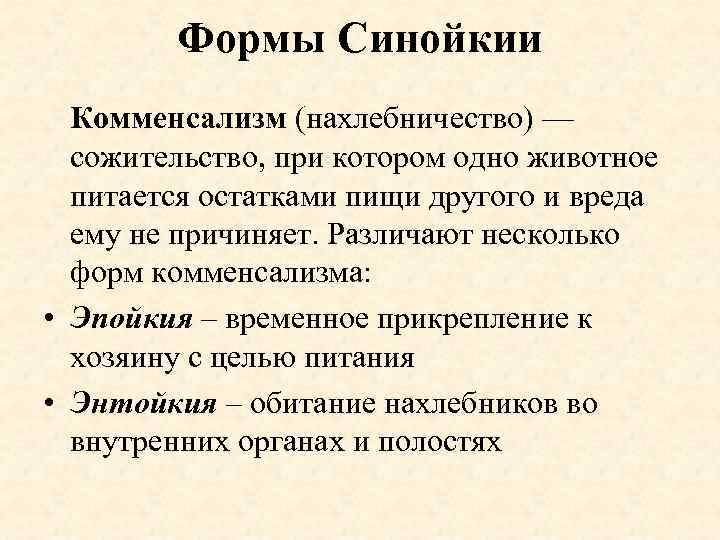 Формы Синойкии Комменсализм (нахлебничество) — сожительство, при котором одно животное питается остатками пищи другого