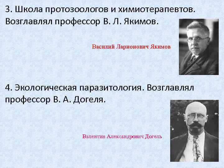 3. Школа протозоологов и химиотерапевтов. Возглавлял профессор В. Л. Якимов. Василий Ларионович Якимов 4.