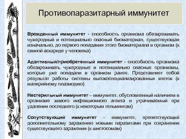 Противопаразитарный иммунитет Врожденный иммунитет - способность организма обезвреживать чужеродный и потенциально опасный биоматериал, существующая