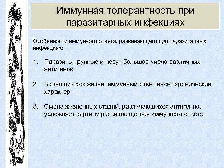 Иммунная толерантность при паразитарных инфекциях Особенности иммунного ответа, развивающего при паразитарных инфекциях: 1. Паразиты