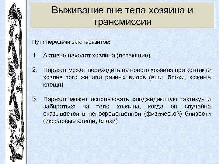 Выживание вне тела хозяина и трансмиссия Пути передачи эктопаразитов: 1. Активно находят хозяина (летающие)