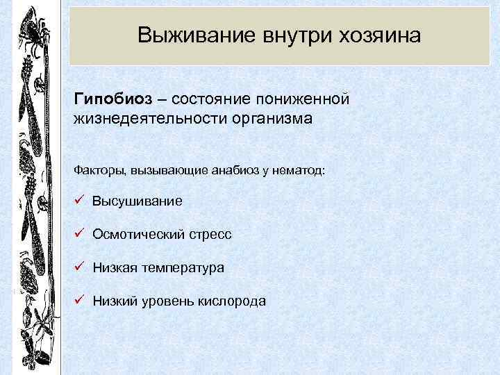 Выживание внутри хозяина Гипобиоз – состояние пониженной жизнедеятельности организма Факторы, вызывающие анабиоз у нематод: