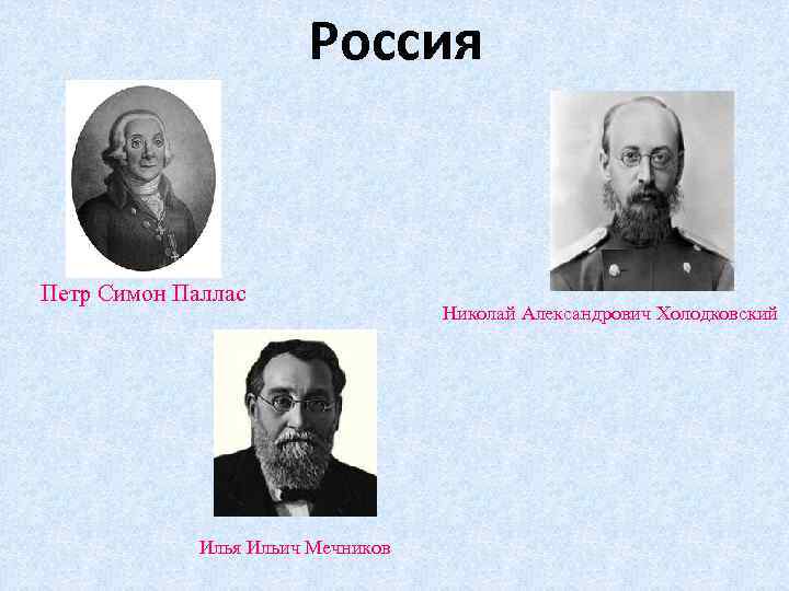 Россия Петр Симон Паллас Илья Ильич Мечников Николай Александрович Холодковский 