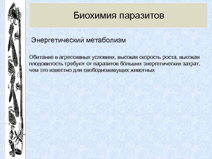 Биохимия паразитов Энергетический метаболизм Обитание в агрессивных условиях, высокая скорость роста, высокая плодовитость требуют