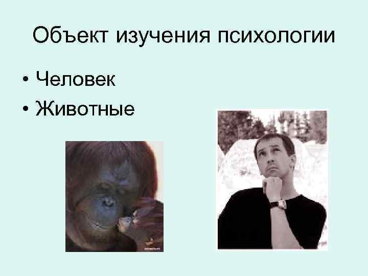 Объект изучения психологии • Человек • Животные 