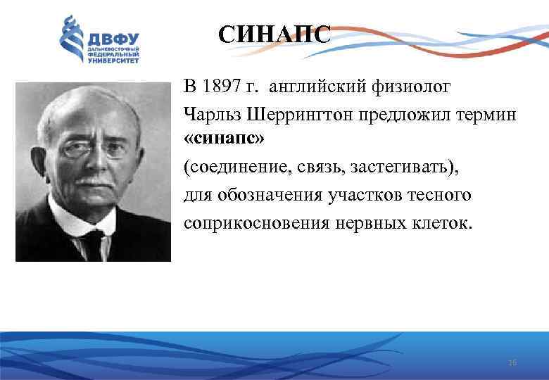 СИНАПС В 1897 г. английский физиолог Чарльз Шеррингтон предложил термин «синапс» (соединение, связь, застегивать),