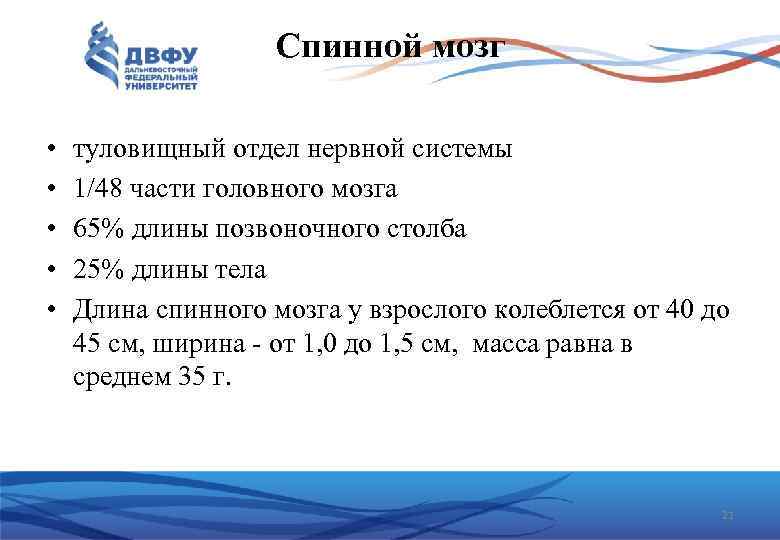 Спинной мозг • • • туловищный отдел нервной системы 1/48 части головного мозга 65%