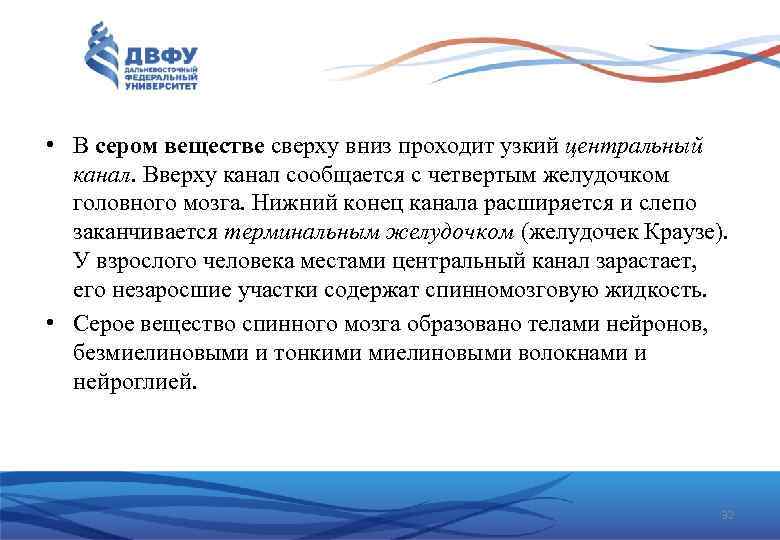  • В сером веществе сверху вниз проходит узкий центральный канал. Вверху канал сообщается