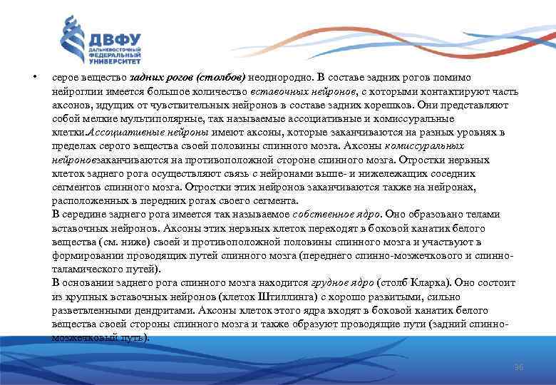  • серое вещество задних рогов (столбов) неоднородно. В составе задних рогов помимо нейроглии