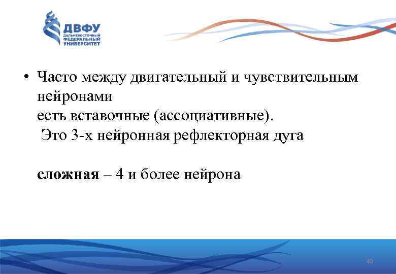  • Часто между двигательный и чувствительным нейронами есть вставочные (ассоциативные). Это 3 х