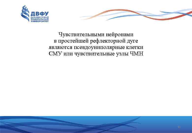 Чувствительными нейронами в простейшей рефлекторной дуге являются псевдоуниполярные клетки СМУ или чувствительные узлы ЧМН