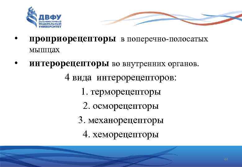  • проприорецепторы в поперечно полосатых мышцах • интерорецепторы во внутренних органов. 4 вида