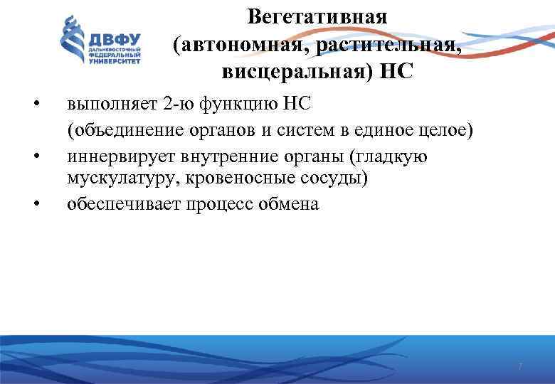 Вегетативная (автономная, растительная, висцеральная) НС • выполняет 2 ю функцию НС (объединение органов и