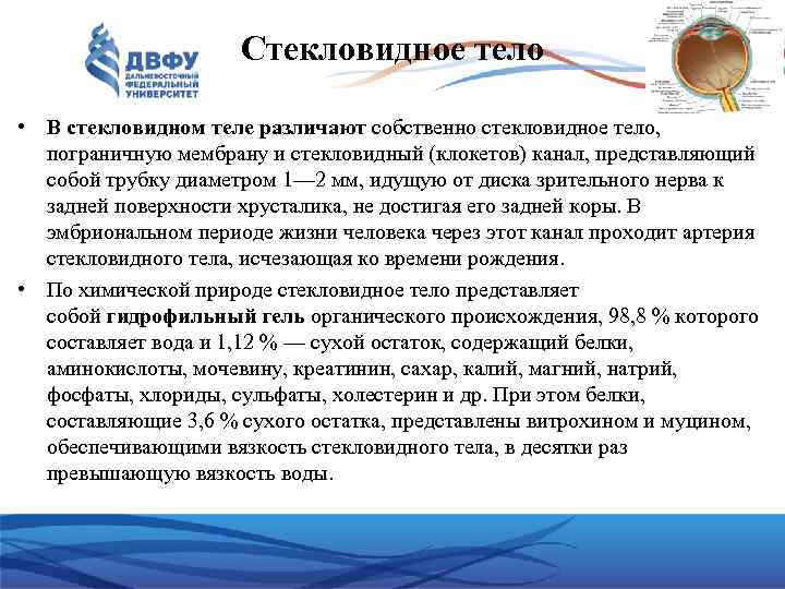 Стекловидное тело • В стекловидном теле различают собственно стекловидное тело, пограничную мембрану и стекловидный