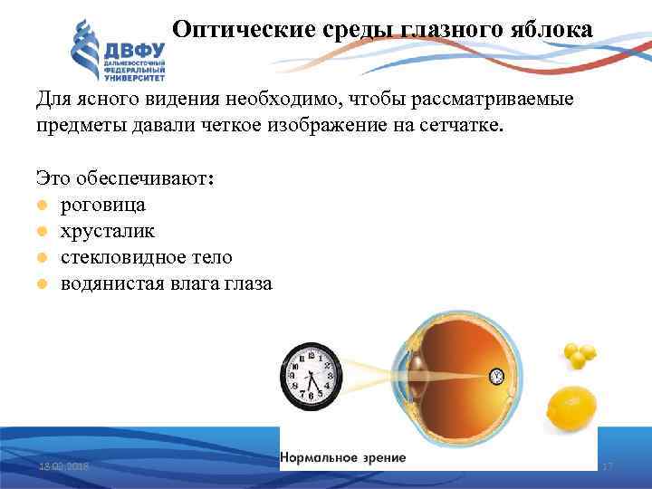 Оптические среды глазного яблока Для ясного видения необходимо, чтобы рассматриваемые предметы давали четкое изображение