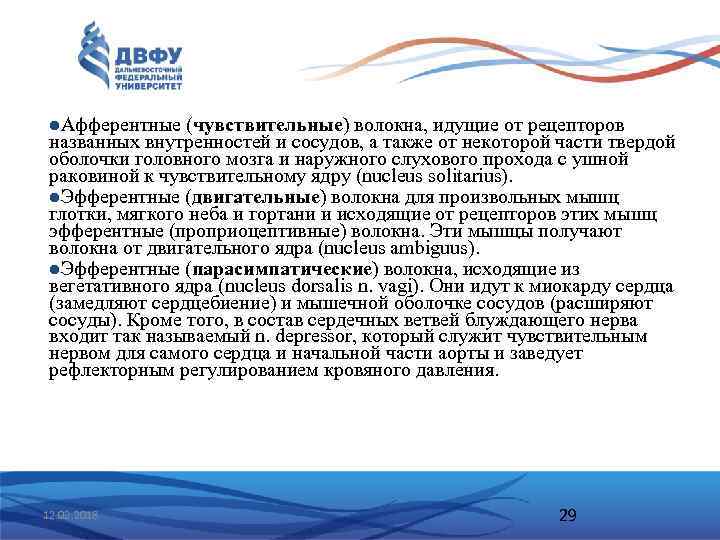 l. Афферентные (чувствительные) волокна, идущие от рецепторов названных внутренностей и сосудов, а также от