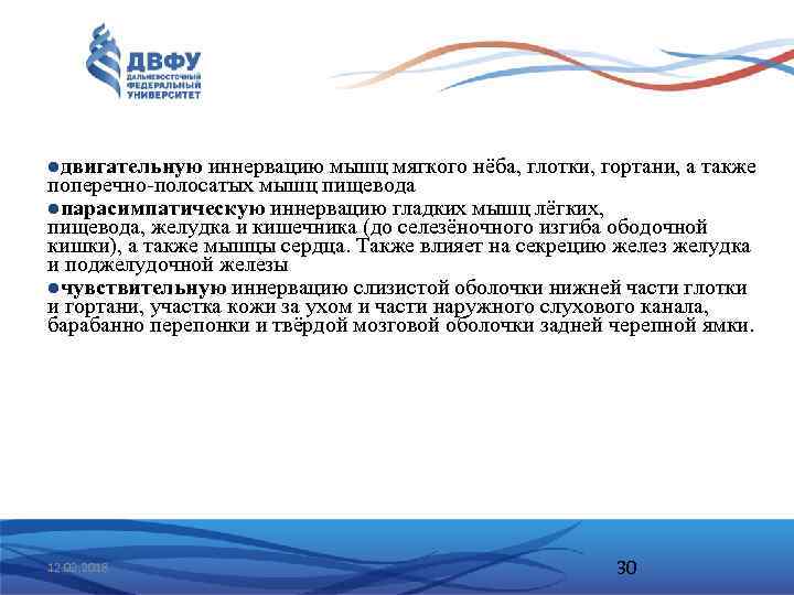 lдвигательную иннервацию мышц мягкого нёба, глотки, гортани, а также поперечно полосатых мышц пищевода lпарасимпатическую