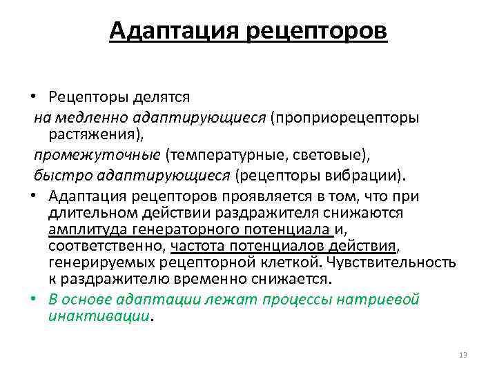 Адаптация рецепторов • Рецепторы делятся на медленно адаптирующиеся (проприорецепторы растяжения), промежуточные (температурные, световые), быстро