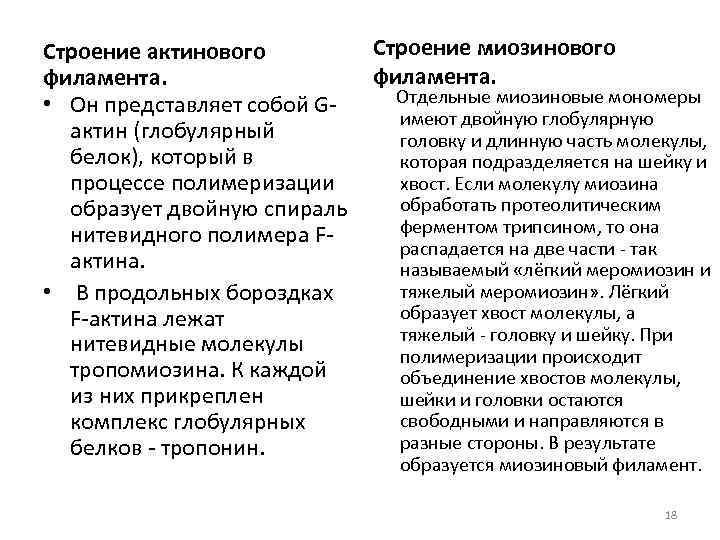 Строение миозинового Строение актинового филамента. • Он представляет собой G Отдельные миозиновые мономеры имеют