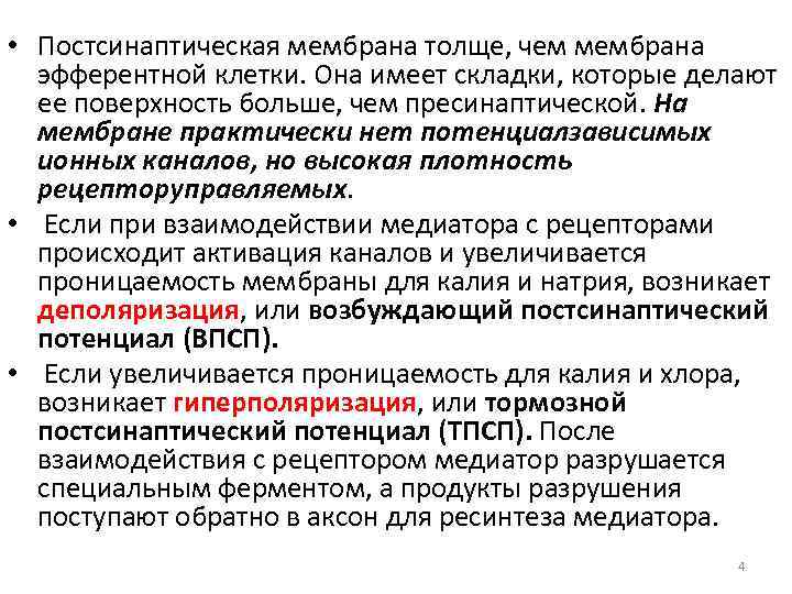  • Постсинаптическая мембрана толще, чем мембрана эфферентной клетки. Она имеет складки, которые делают