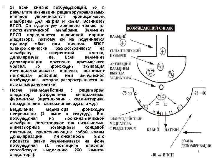 Потенциал концевой пластинки