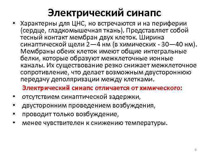 Электрический синапс • Характерны для ЦНС, но встречаются и на периферии (сердце, гладкомышечная ткань).