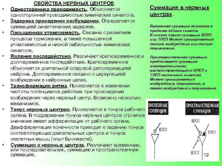  • • СВОЙСТВА НЕРВНЫХ ЦЕНТРОВ Суммация в нервных Односторонняя проводимость. Объясняется центрах. односторонней