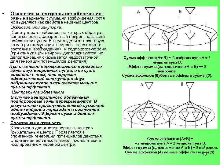  • • Окклюзия и центральное облегчение - разные варианты суммации возбуждения, хотя их