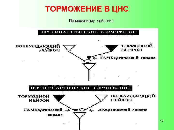 ТОРМОЖЕНИЕ В ЦНС По механизму действия 17 