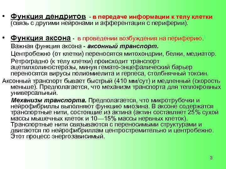  • Функция дендритов - в передаче информации к телу клетки (связь с другими