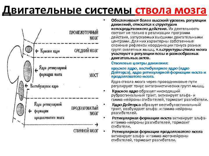 Повреждения ствола мозга