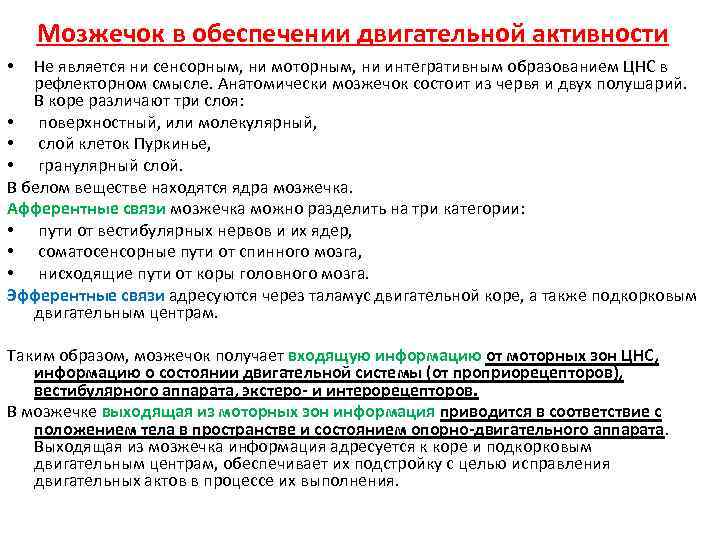 Мозжечок в обеспечении двигательной активности Не является ни сенсорным, ни моторным, ни интегративным образованием