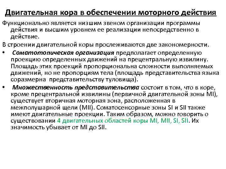 Двигательная кора в обеспечении моторного действия Функционально является низшим звеном организации программы действия и