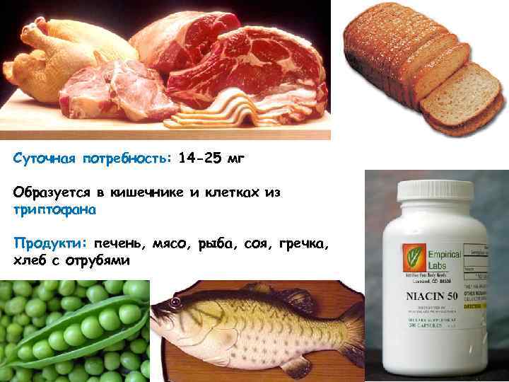 Суточная потребность: 14 -25 мг Образуется в кишечнике и клетках из триптофана Продукти: печень,