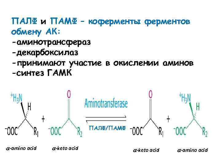 ПАЛФ и ПАМФ – коферменты ферментов обмену АК: -аминотрансфераз -декарбоксилаз -принимают участие в окислении