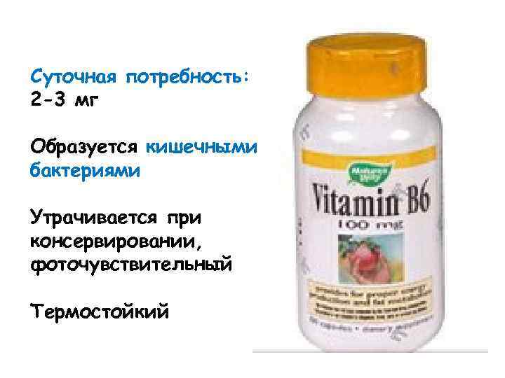 Суточная потребность: 2 -3 мг Образуется кишечными бактериями Утрачивается при консервировании, фоточувствительный Термостойкий 